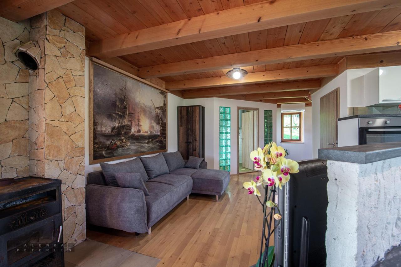 Appartement Zidan'Ca Rosel à Dolenjske Toplice Extérieur photo
