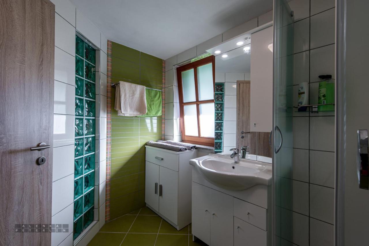 Appartement Zidan'Ca Rosel à Dolenjske Toplice Extérieur photo