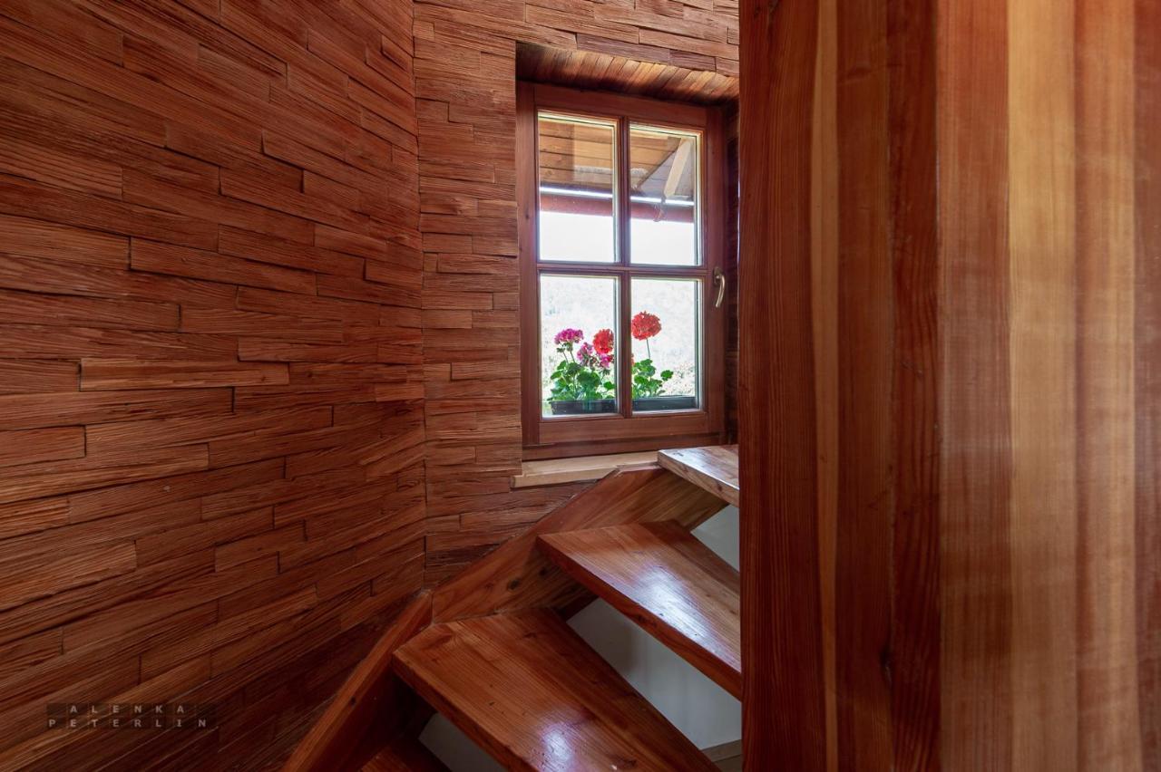 Appartement Zidan'Ca Rosel à Dolenjske Toplice Extérieur photo